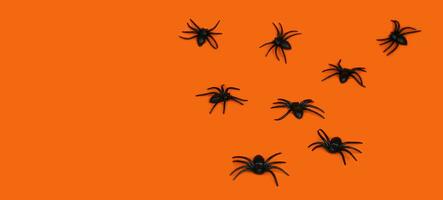 Festive background for Halloween. Black spiders on an orange background. Banner. Copy space. Selective focus. photo