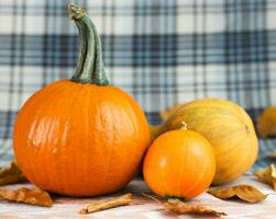 Autumn composition with pumpkins. Harvesting. Happy Thanksgiving. Close-up. Copy space. photo