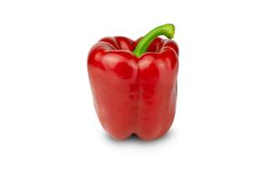 Red sweet pepper isolated on white background. Close-up. photo