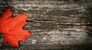 Autumn composition with texture of old wood and autumn maple leaf. Flatlay. Copy space. Top view. Selective focus. photo