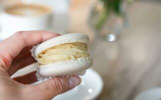 Woman's hand holds of vanilla or coconut macaroon. Close-up. Copy space. Selective focus. photo