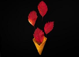 creativo otoño composición con otoño rojo hojas y gofre cono en un negro antecedentes. plano parte superior vista. Copiar espacio. selectivo enfocar. foto