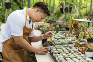 Asian gardener is working inside the greenhouse full of cactus plants collection while propagating by flower pollination for seed using small paint brush in ornamental garden and hobby concept photo