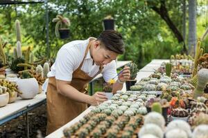 Asian gardener is working inside the greenhouse full of cactus plants collection while propagating by flower pollination for seed using small paint brush in ornamental garden and hobby concept photo