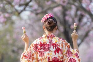 japonés mujer en tradicional kimono vestir participación dulce hanami dango postre mientras caminando en el parque a Cereza florecer árbol durante primavera sakura festival foto