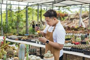 asiático jardinero es trabajando dentro el invernadero lleno de cactus plantas colección mientras propagador por flor polinización para semilla utilizando pequeño pintar cepillo en ornamental jardín y pasatiempo concepto foto