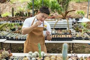 Asian gardener is working inside the greenhouse full of cactus plants collection while propagating by flower pollination for seed using small paint brush in ornamental garden and hobby concept photo
