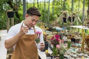 Asian gardener is working inside the greenhouse full of cactus plants collection while propagating by flower pollination for seed using small paint brush in ornamental garden and hobby concept photo