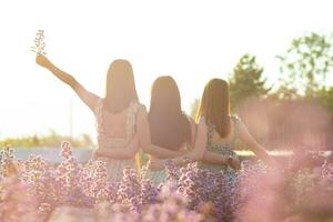 mujer y su amigos fueron bendito en flor jardín y acecho ver de el hermosa floreciente flor en noche. mujer teniendo bendito con grupo de amigos, concepto de amistad, amor y amabilidad. foto