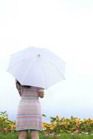 espalda de niña en Clásico estilo vestir participación lluvia paraguas dentro hermosa amarillo girasol jardín en lluvioso estación. niña soportes solo participación un paraguas a ver hermosa de amarillo girasol jardín. foto