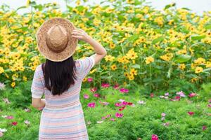 back of a beautiful tourist admiring the flower garden in Chiang Mai blessed because the flower garden looks beautiful. woman is blessed a walk in the beautiful flower garden and the bright nature. photo