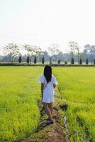 The back of a young woman walking on the path between the green fields in the morning alone A small dirt path leading forward in the field made the woman walk with caution. photo