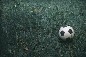 black and white striped soccer ball was placed on grass, used by soccer team to practice on club turf during training before competing. soccer ball is set against dark background of grass field. photo