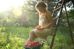 Beautiful sun rays fall into the garden on a summer day while African ethnicity woman in linen dress sitting on a ladder next to bucket with cherries in orchard. photo