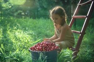 Portrait of a little girl in a linen dress sitting on a stepladder next to a bucket of cherries in the orchard of a country house at sunset. photo