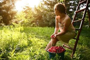 atractivo mujer en un lino vestir sentado en un escalera de tijera siguiente a un Cubeta de cerezas en el jardín de un país casa a puesta de sol. hermosa Dom rayos otoño dentro el jardín en un verano día foto