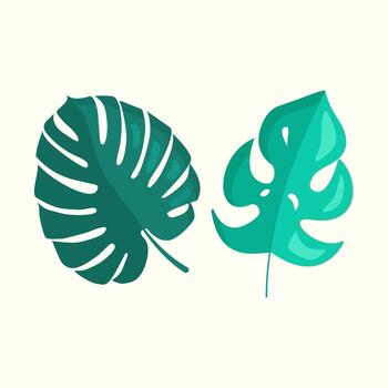 Tropical Leaves. Monstera. Vector illustration