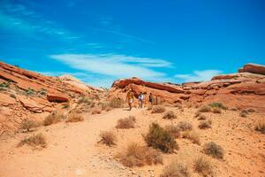 Family of father and kids enjoy the view of the Sedona landscape photo