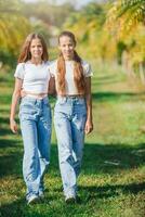 two girls in jeans in a field with palm trees photo