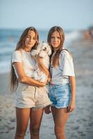 adorable joven muchachas y su blanco perrito en el playa a puesta de sol. hermosa Adolescente muchachas en el costa caminando y disfrutar verano vacaciones foto