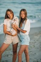 adorable joven muchachas y su blanco perrito en el playa a puesta de sol. hermosa Adolescente muchachas en el costa caminando y disfrutar verano vacaciones foto