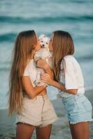 adorable joven muchachas y su blanco perrito en el playa a puesta de sol. hermosa Adolescente muchachas en el costa caminando y disfrutar verano vacaciones foto