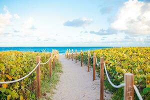 Sand trail to the beach in Florida photo
