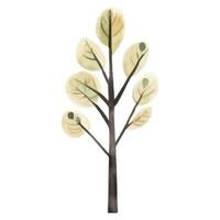 Cute watercolor tree. Scandinavian vector trees. Childish vector illustration