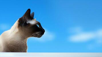 Sleek Siamese cat perched on a windowsill, watching birds fly by against a blue sky. Generative AI photo
