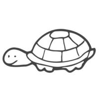 Hand Drawn turtle doodle. Sketch style icon. Decoration element. Isolated on white background. Flat design. Vector illustration.