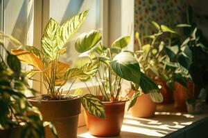 House plants on windowsill in morning sunlight. Generative AI photo