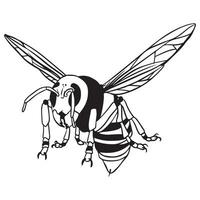 Outline art Killer Bee Stings vector