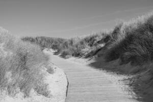 summer time on langeoog island photo