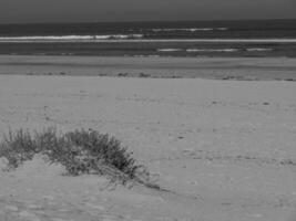 summer time on langeoog island photo