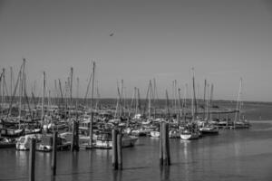 the beach of langeoog island photo