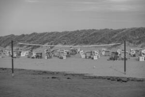 the beach of langeoog island photo