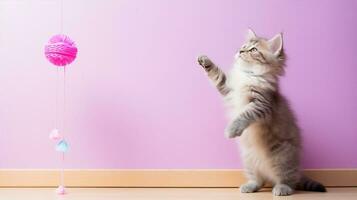 Munchkin cat standing upright, reaching for a dangling toy, displaying its short legs. Generative AI photo