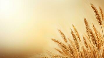 Wheat field. Web banner with copy space. Generative AI photo