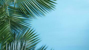 Palm leaf shadow, blue wall, summer background. Generative AI photo