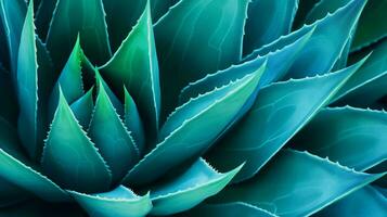 Blue cactus, agave, nature abstract background, macro. Generative AI photo