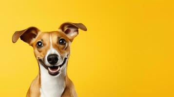 Happy dog, isolated yellow background with copy space. Generative AI photo