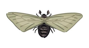 Flying moth, insect animal doodle. Vector illustration in cartoon style. Modern clipart isolated on white.