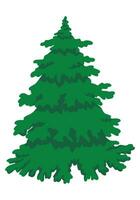 Colored cartoon doodle of fir-tree, evergreen tree. Hand drawn vector illustration. Single drawing isolated on white background. Element for design, print, sticker, card, decoration, wrap.