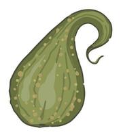 Doodle of vegetable marrow pumpkin. Vector illustration in cartoon style. Autumn season harvest clipart isolated on white background.