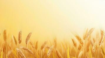 Wheat field. Web banner with copy space. Generative AI photo