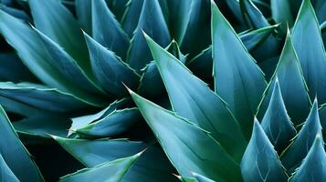 Blue cactus, agave, nature abstract background, macro. Generative AI photo