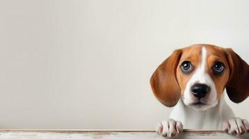 Beagle, cute dog. Web banner with copy space. Generative AI photo