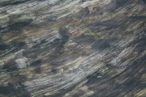 Multicolor paint brush pattern surface, Grungy paint surface backdrop, Colorful paint brush pattern background photo
