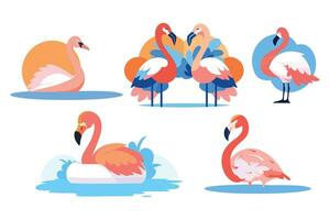 Hand Drawn Flamingos in summer concept in flat style vector