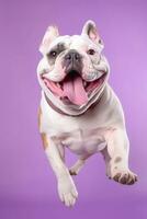 Very cute Bulldog in nature wide life animals. AI Generated. photo